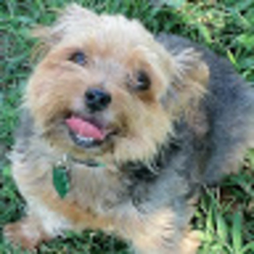 Meet your Posher, Julie